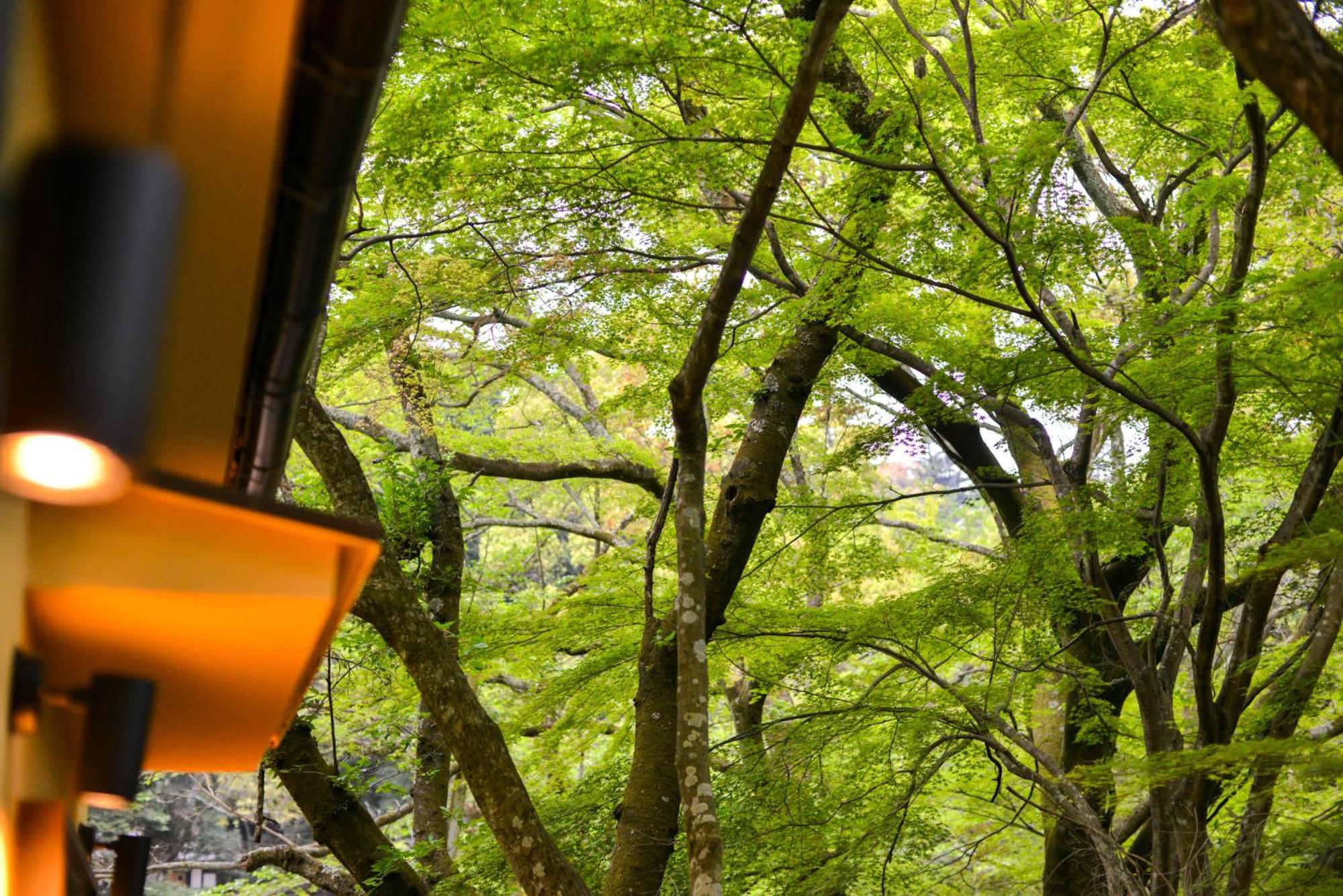 Villa Hamorebi Hatsukaichi Esterno foto