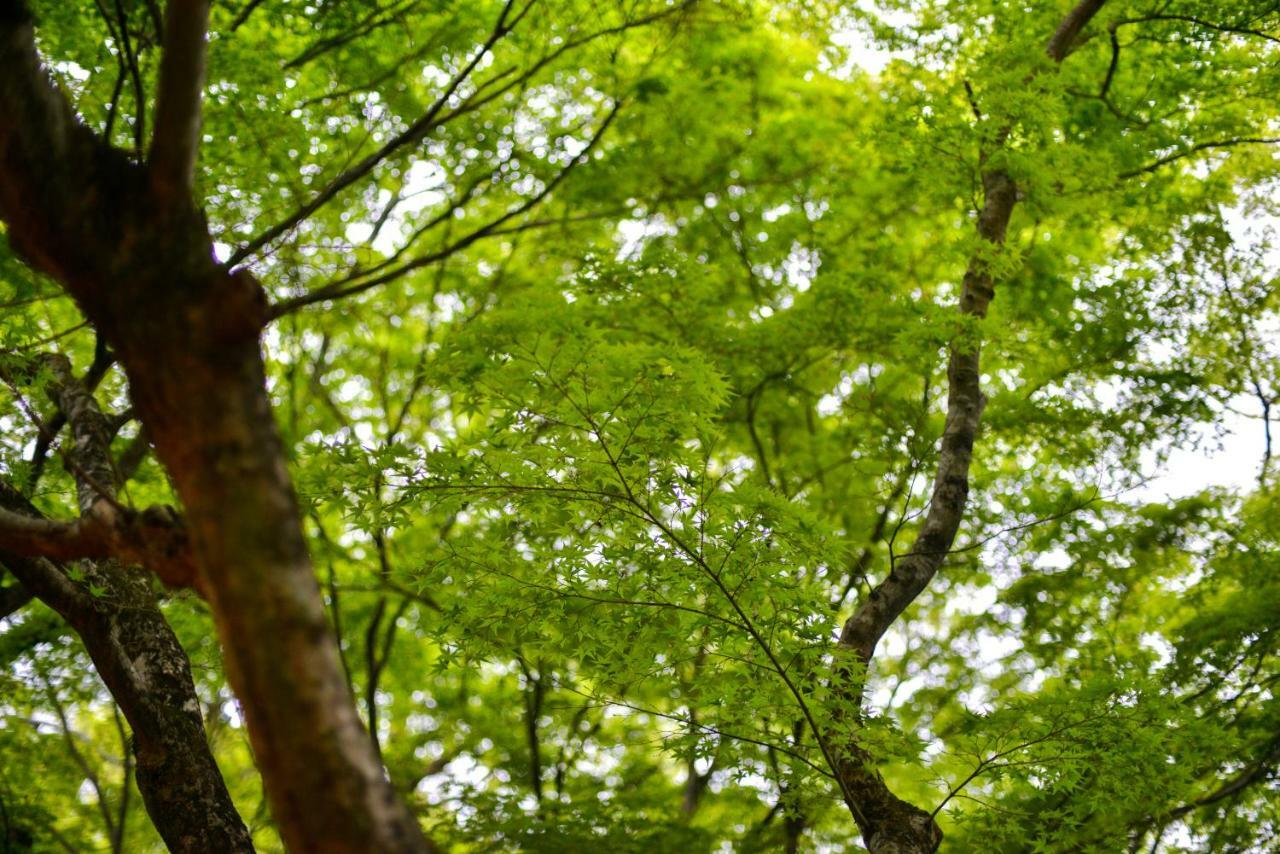 Villa Hamorebi Hatsukaichi Esterno foto